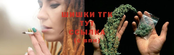 ешки Бородино