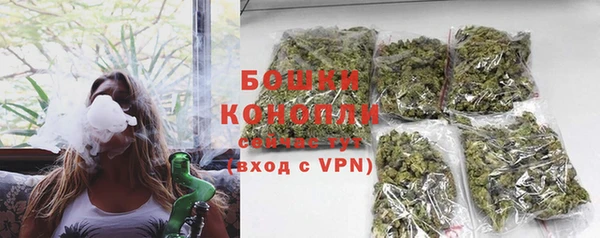 ГАЛЛЮЦИНОГЕННЫЕ ГРИБЫ Бугульма