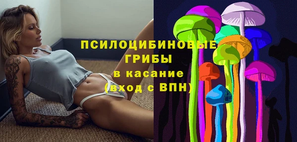 шишки Верхнеуральск