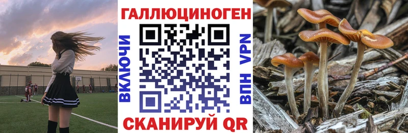 Галлюциногенные грибы ЛСД Тольятти